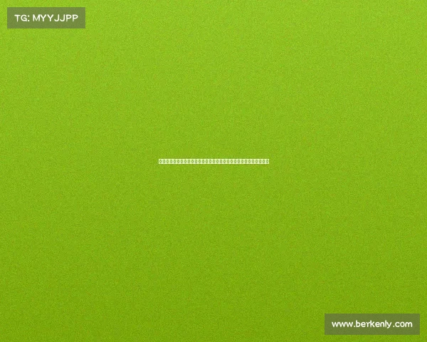 上海申花足协杯赛事激情上演球队拼搏展现强大实力每一战都充满斗志